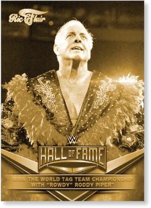 Ric Flair W W E Hallof Fame Portrait PNG Image