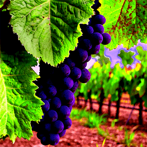 Rich Vineyard Land PNG wrt71 PNG with transparent background