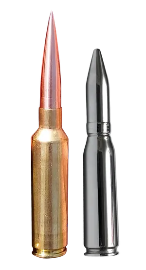 Rifle Ammunition Comparison PNG Image