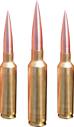 Rifle Ammunition Trio PNG Image