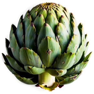 Ripe Artichoke Png 06252024 PNG Image