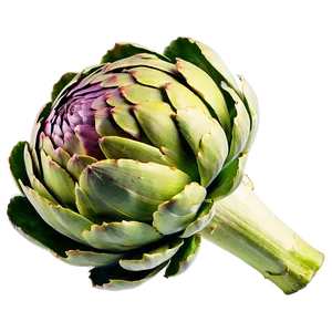 Ripe Artichoke Png Das45 PNG Image