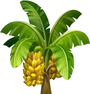 Ripe Bananason Tree Illustration PNG Image