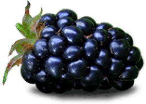 Blackberry Fruit Png Transparent Images - Purple Colour Fruit Name, Png Download PNG image with transparent background