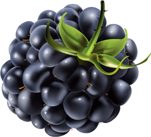 Blackberry - Blackberry Clipart, HD Png Download PNG image with transparent background