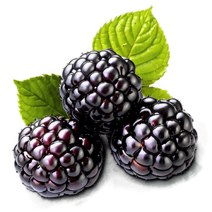 Ripe Blackberry Fruit PNG njn56 PNG image with transparent background