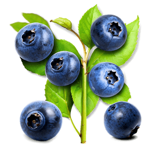 Ripe Blueberries PNG 05242024 PNG image with transparent background