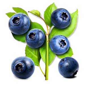 Ripe Blueberries Png 05242024 PNG Image