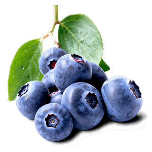 Ripe Blueberries PNG 27 PNG image with transparent background