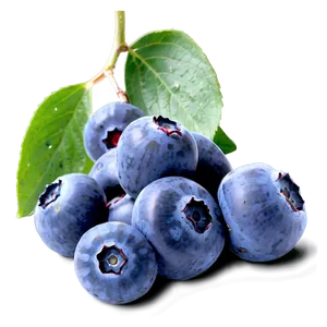 Ripe Blueberries Png 27 PNG Image