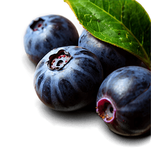 Ripe Blueberries PNG 38 PNG image with transparent background