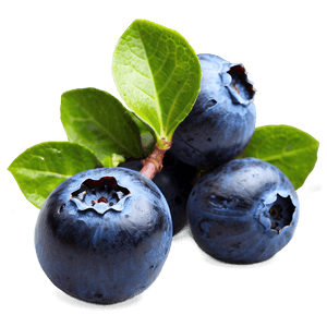 Ripe Blueberries PNG wun69 PNG image with transparent background