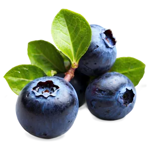 Ripe Blueberries Png Wun69 PNG Image
