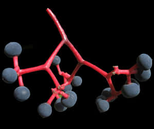 Ripe Blueberrieson Branch PNG image with transparent background