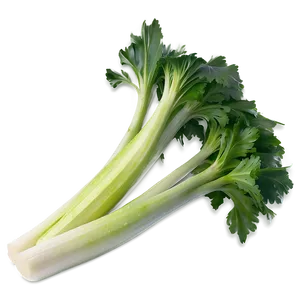 Ripe Celery Png Kgt PNG Image