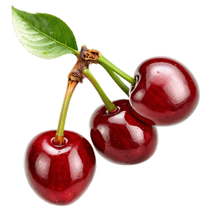 Ripe Cherry Fruit PNG 05212024 PNG image with transparent background