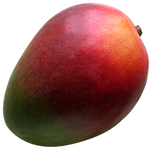 Ripe Mango Fruit Isolated PNG image with transparent background