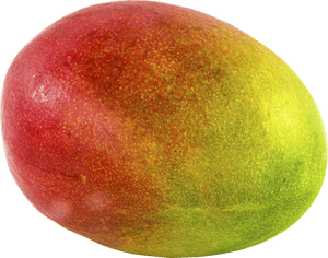 Mango Transparent, HD Png Download PNG image with transparent background