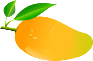 Ripe Mango Illustration PNG with transparent background