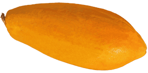 Ripe Mango Isolatedon Blue Background PNG with transparent background