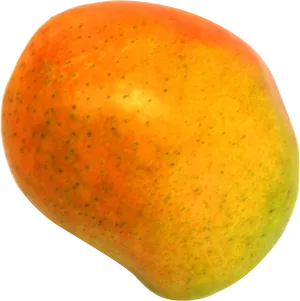 Ripe Mango Single Fruit PNG Image
