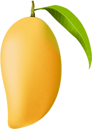 Ripe Mango With Leaf PNG with transparent background
