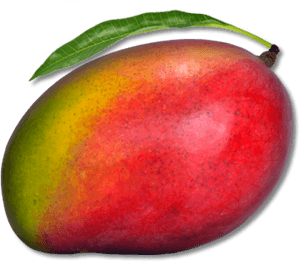 Ripe Mango With Leaf PNG with transparent background
