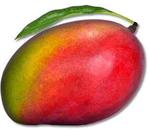 Ripe Mango With Leaf PNG Image