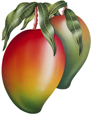 Ripe Mango With Leaves PNG Image