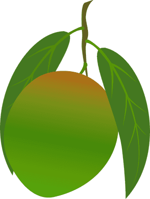 Ripe Mango With Leaves Vector PNG image with transparent background