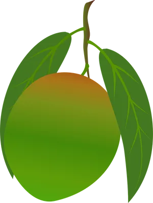 Ripe Mango With Leaves Vector PNG Image