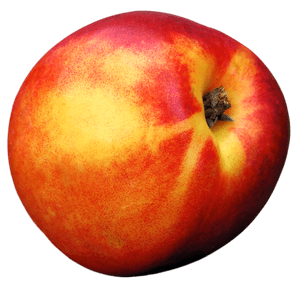 Ripe Peach Isolated Background PNG with transparent background