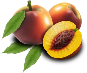 Ripe Peaches With Cross Section PNG Image