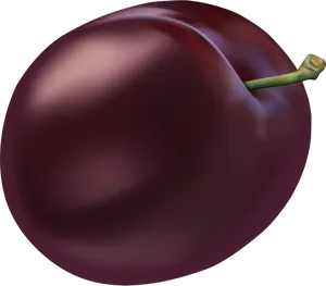 Ripe Plum Illustration PNG Image