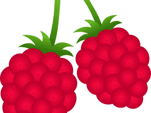 Transparent Holly Berries Png - Transparent Berries Clipart, Png Download PNG image with transparent background