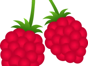 Ripe Raspberries Illustration PNG Image