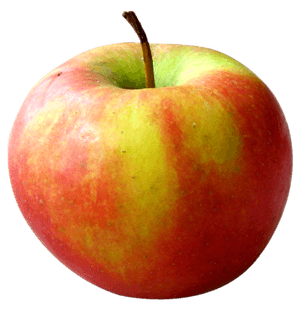Ripe Red Apple Isolated PNG image with transparent background