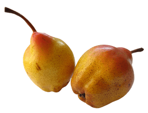 Ripe Yellow Pears Fruit PNG with transparent background