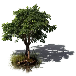 Riverside Tree Shadow Png Pqt PNG Image