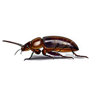 Roach Illustration Png 50 PNG Image