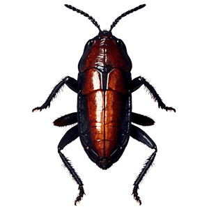 Roach Silhouette PNG uhj49 PNG
