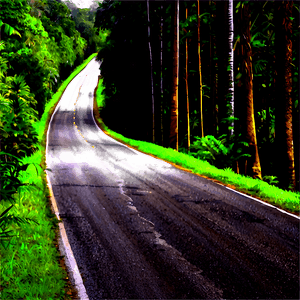Road in Forest PNG 31 PNG image with transparent background
