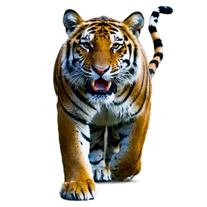 Roaring Tiger In Jungle Png Kyk63 PNG Image