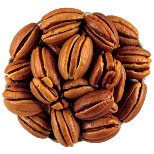 Roasted Pecan Png 73 PNG Image