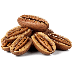 Roasted Pecan PNG cjs26 PNG with transparent background