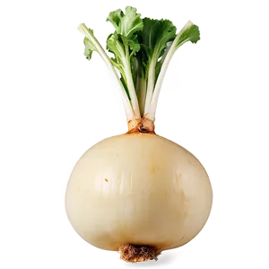 Roasted Turnip Png 3 PNG Image