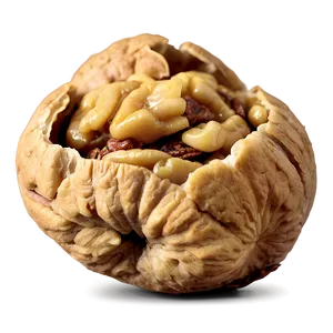 Roasted Walnut Png Iur28 PNG Image