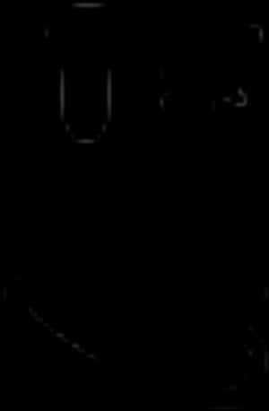 Roblox Face Smiling Expression PNG
