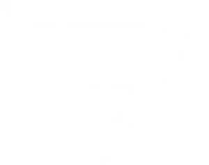 Rocket League V P Pro Team Logo PNG Image