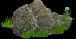 Rockwith Floraon Black Background PNG image with transparent background